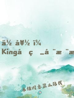 你好，King先生